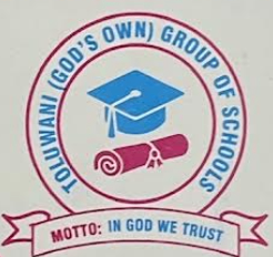 Toluwani Schools logo